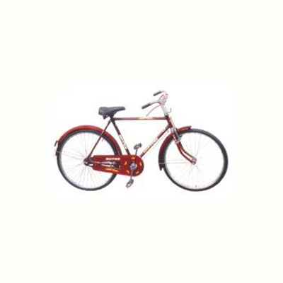Roter Lion Road Bicycle
